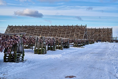 Lofoten__99_3016_filtered