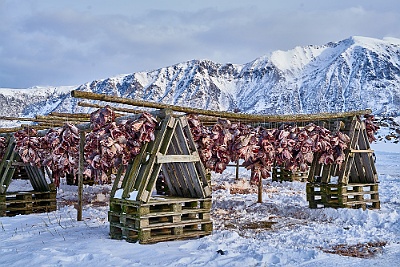 Lofoten__99_3020_filtered