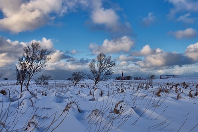 Lofoten__99_1915_filtered