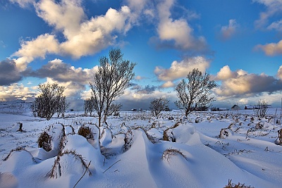 Lofoten__99_1921_filtered