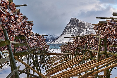 Lofoten__99_1971_filtered