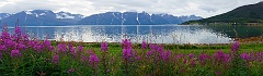 Fahrt durch Nordnorwegen zum Nordkap