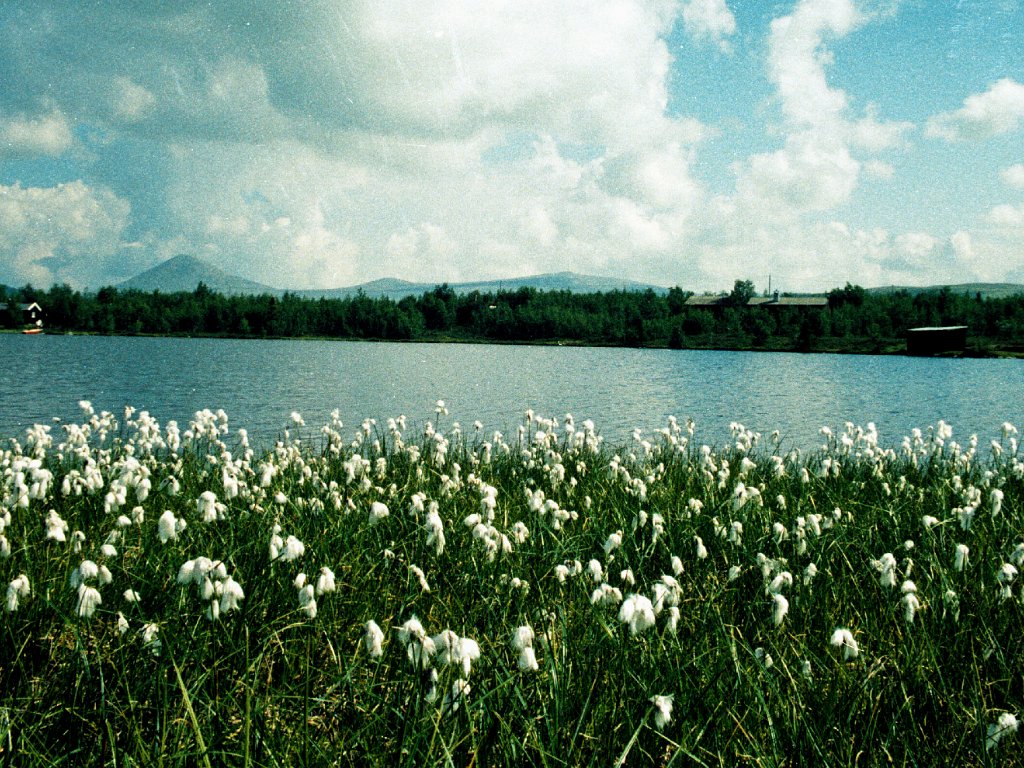 Norwegen 1995