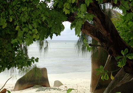 PICT6072