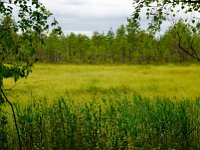 Kurjenrahka-Nationalpark