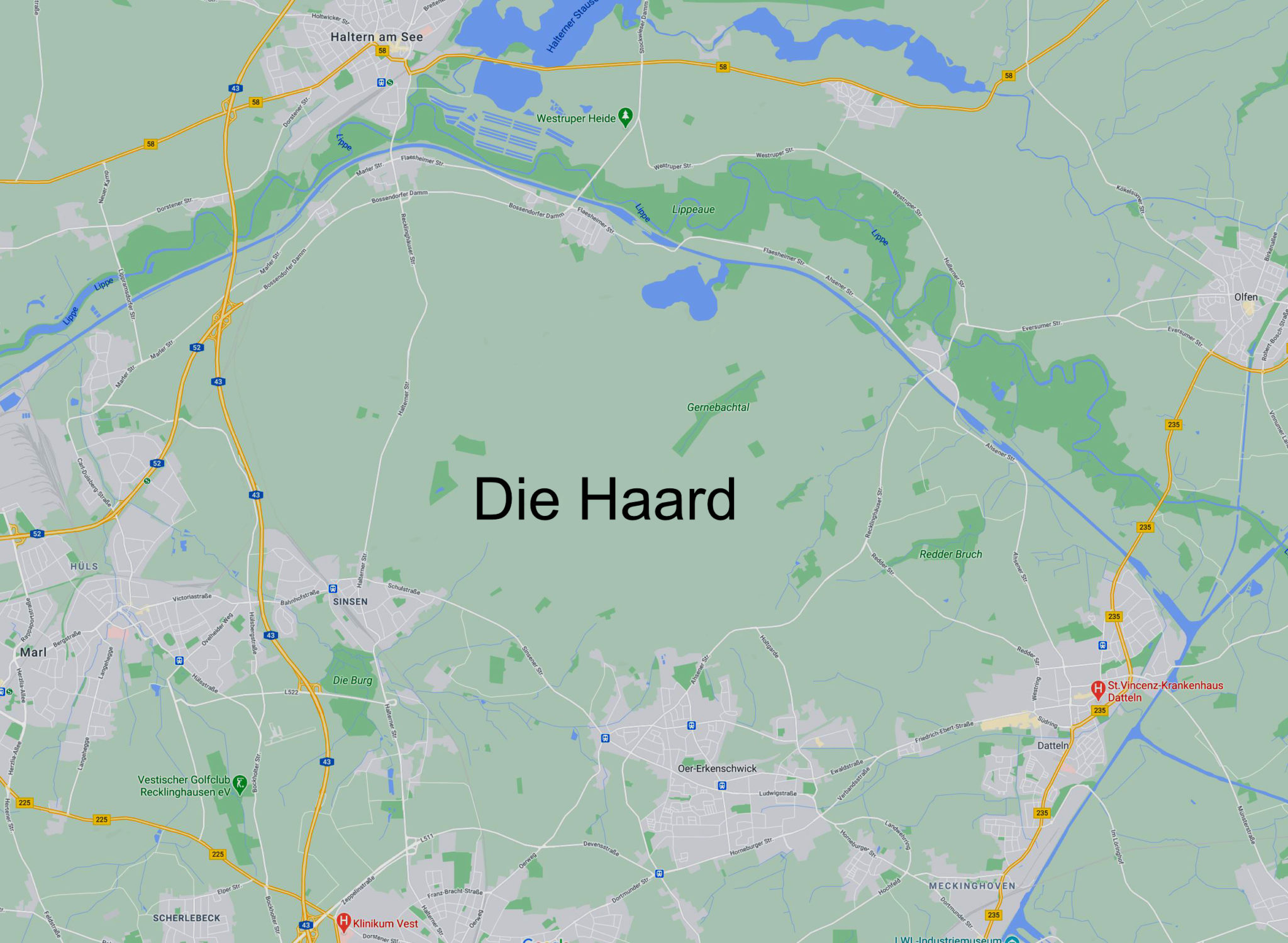 Die Haard – Der Wald vor unserer Haustür - Der Blog vom Block
